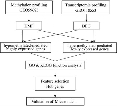 Brain region-specific genome-wide deoxyribonucleic acid methylation analysis in patients with Alzheimer’s disease